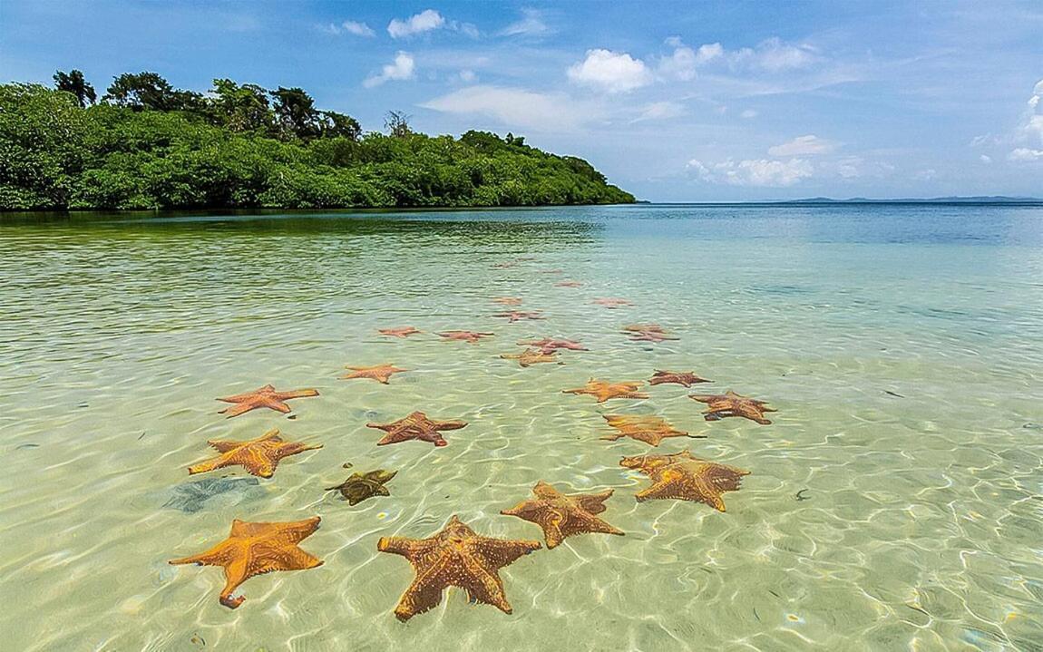 Willa Casa Del Mar Bocas del Toro Zewnętrze zdjęcie
